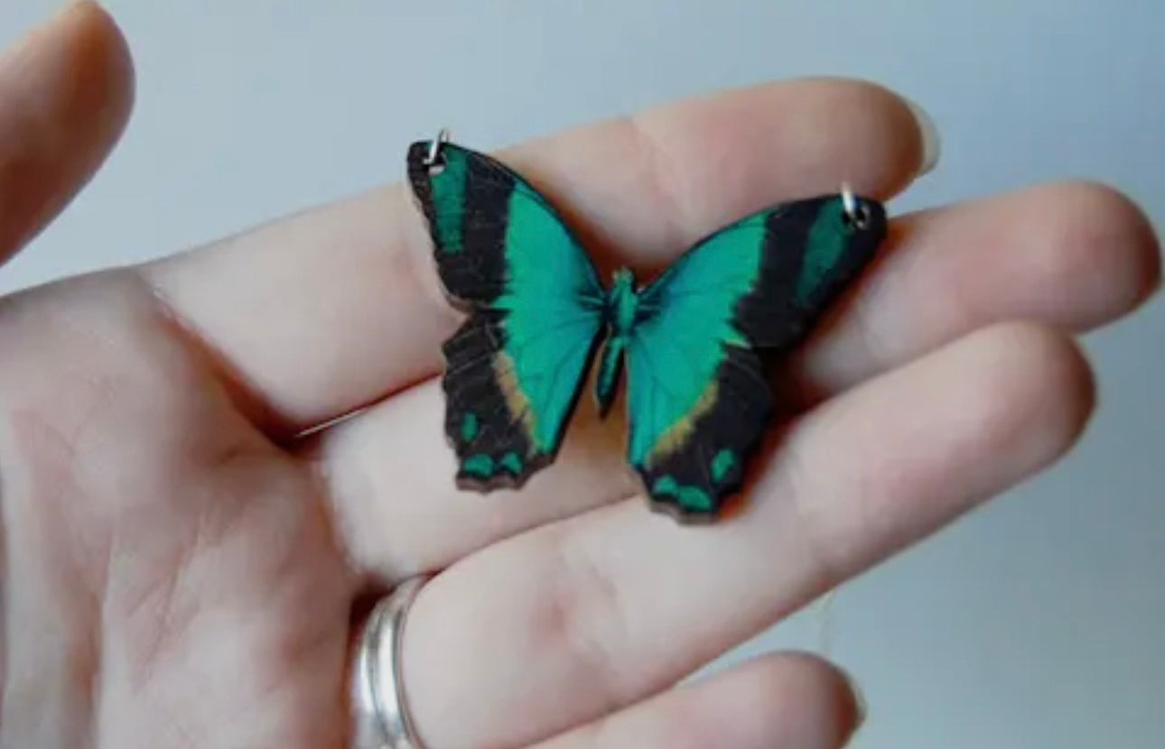 Enchanted Collection