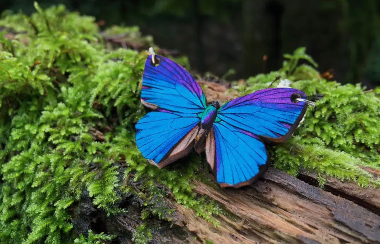 Enchanted Collection