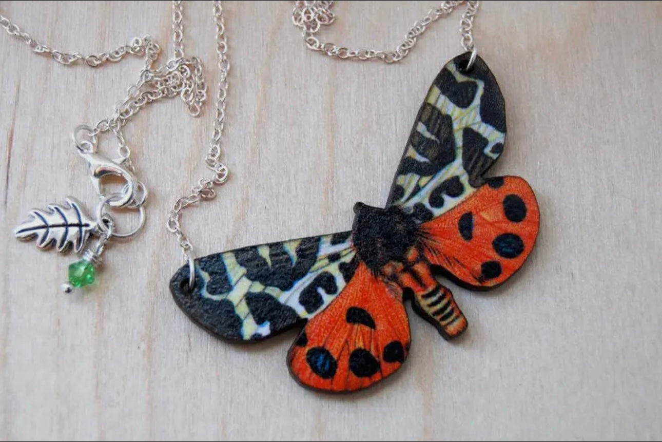 Enchanted Collection