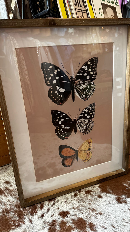 Butterfly #2