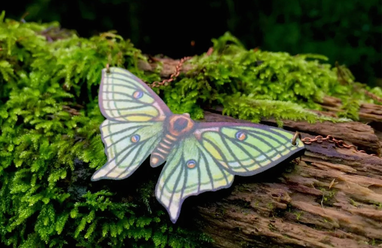 Enchanted Collection