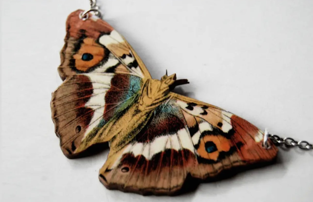 Enchanted Collection