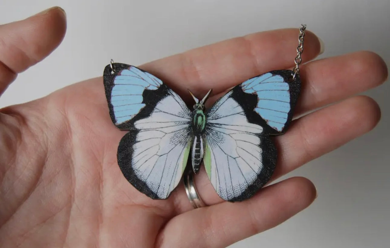 Enchanted Collection