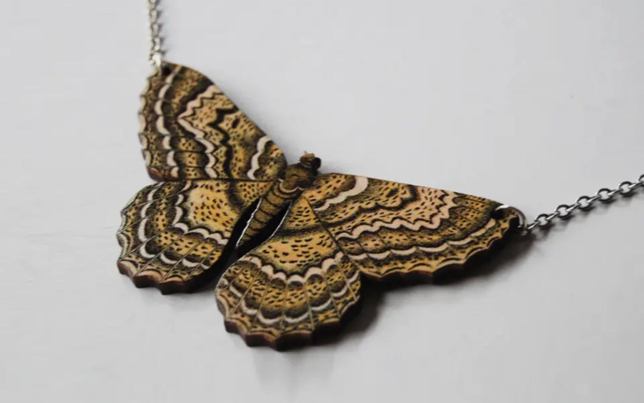 Enchanted Collection