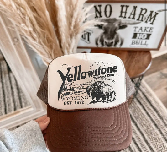 Yellowstone hat