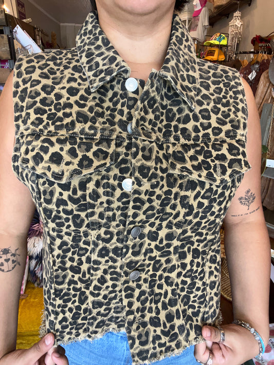 Kim Vest