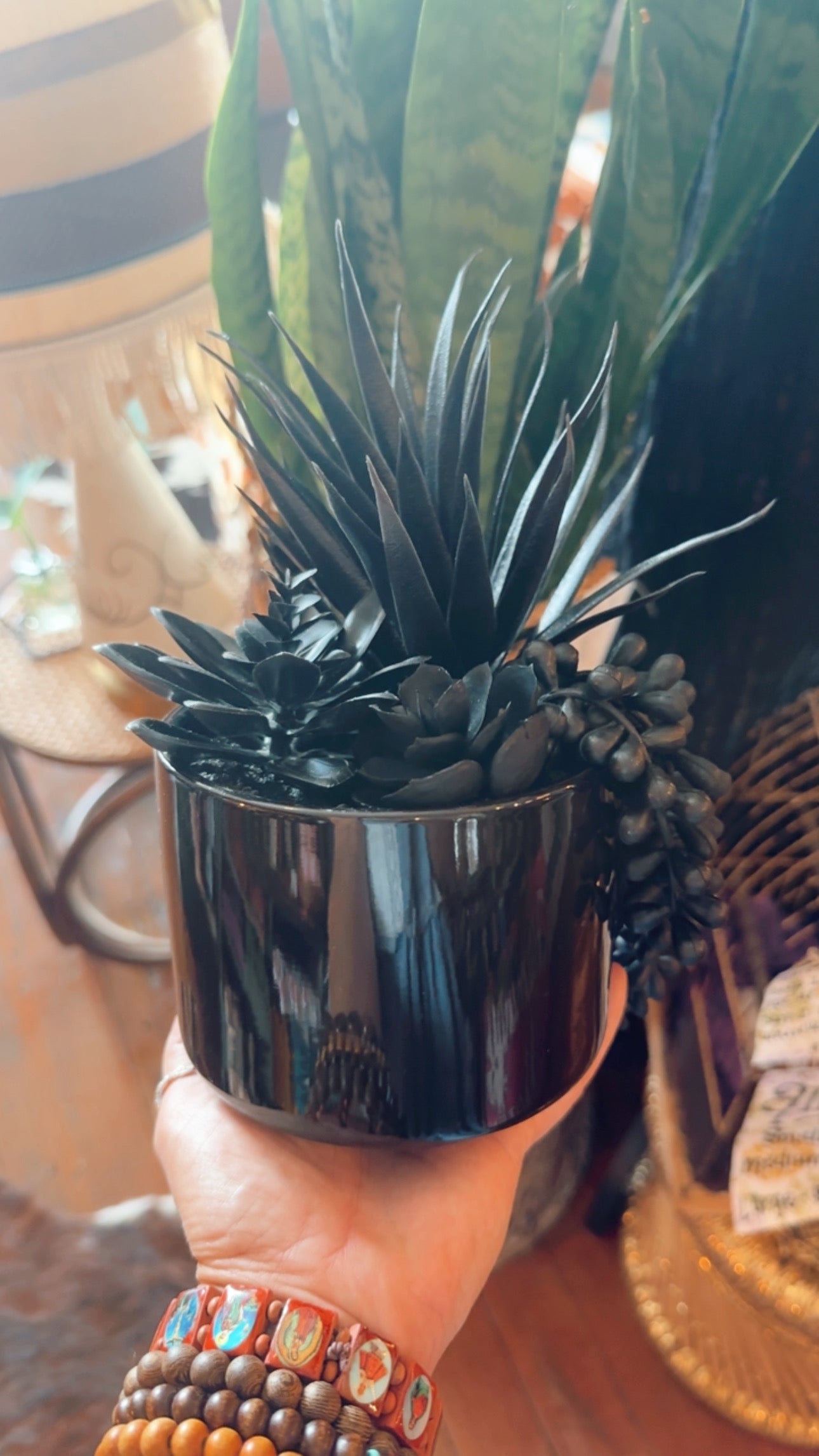succulent halloween Halloween succulent – Eclectic Jade