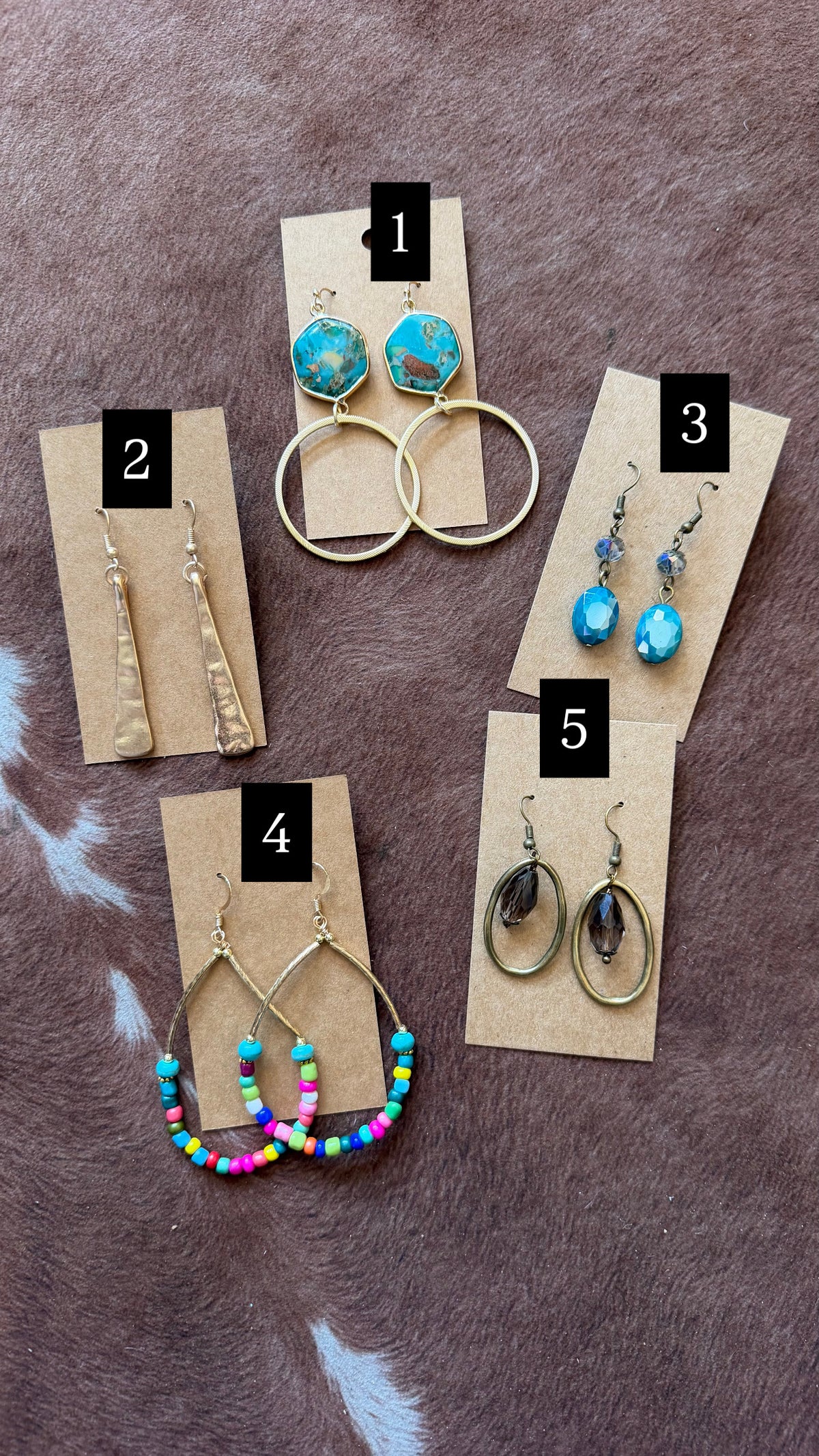 Eclectic Collection Earrings