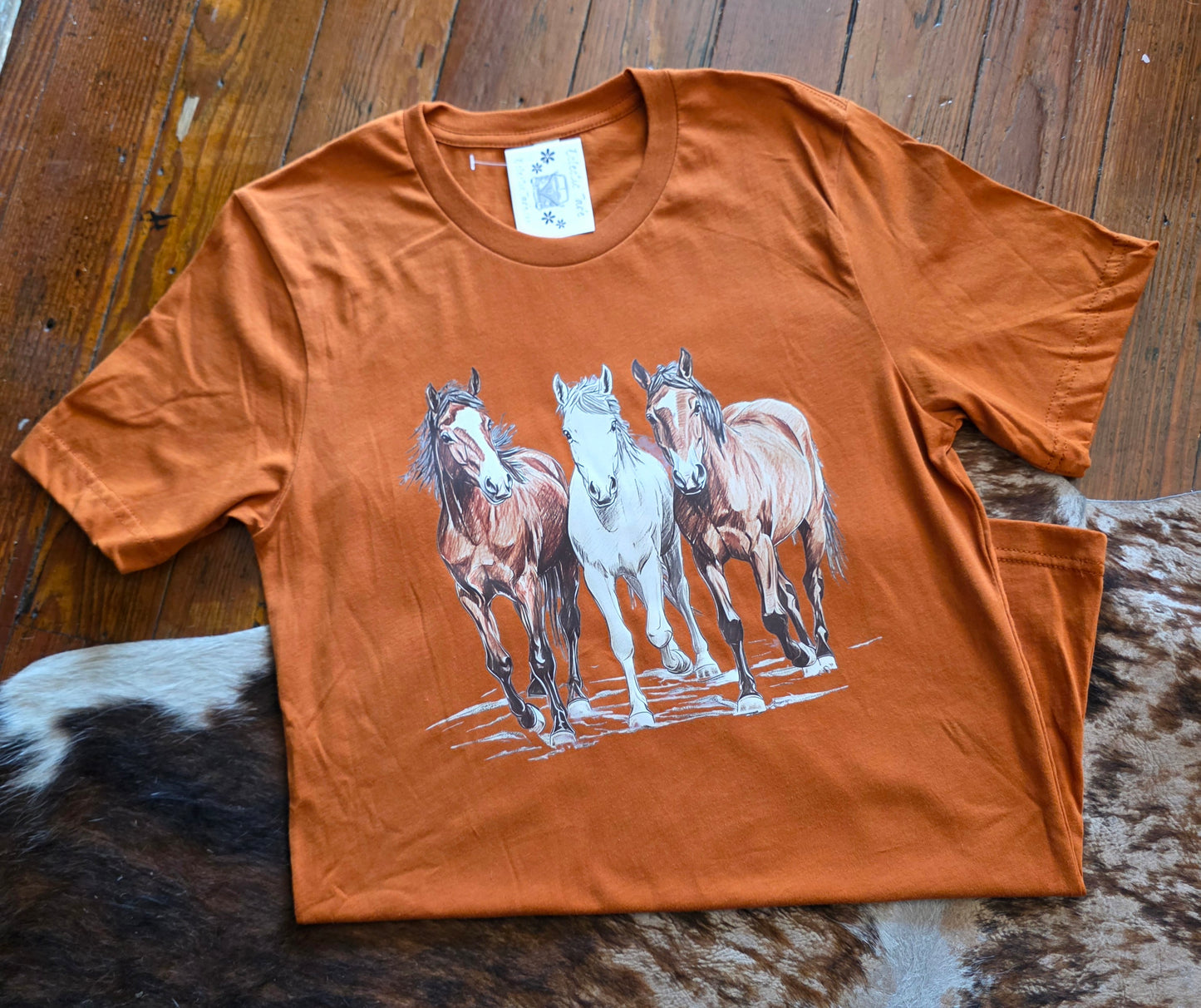 Wild Stallions