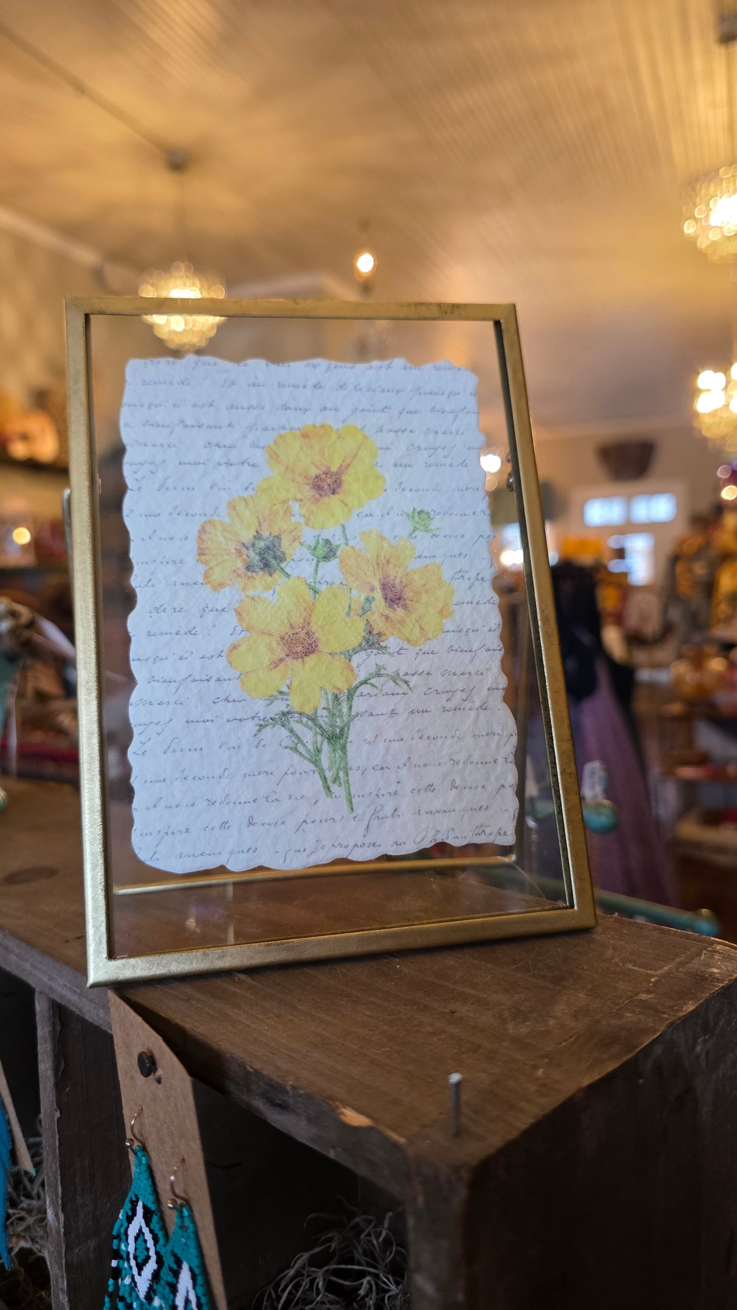 Framed Botanicals