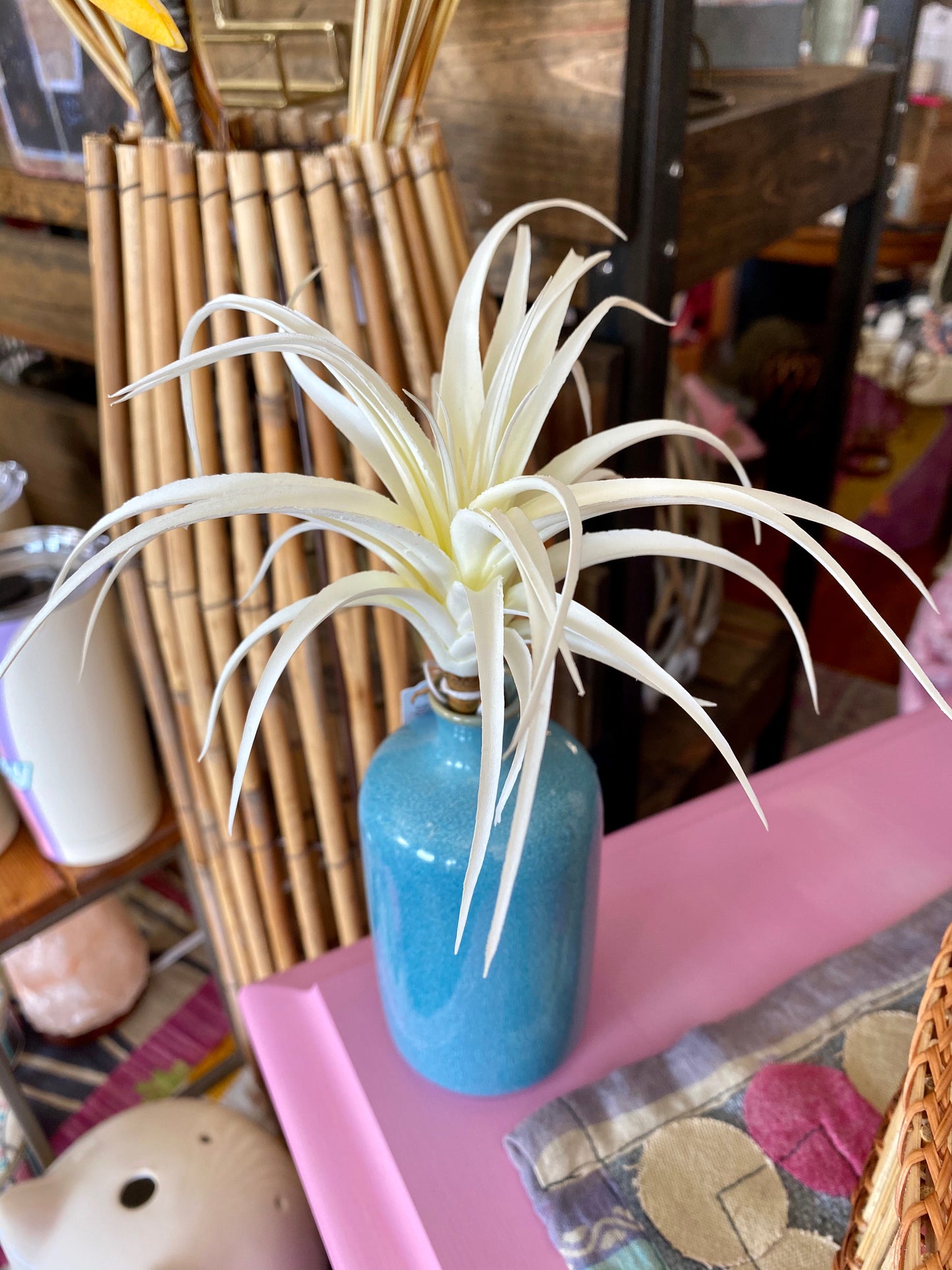 White Airplant
