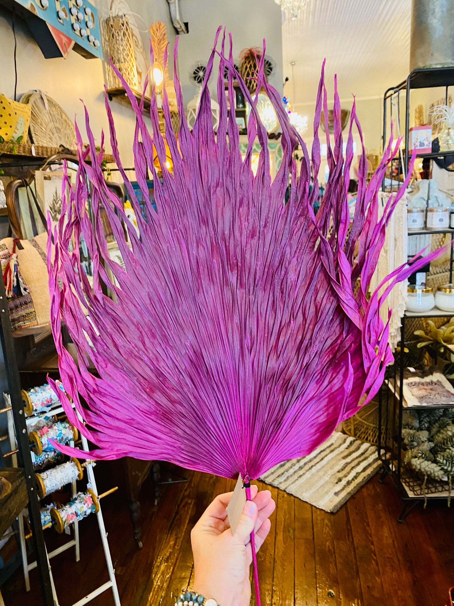Pink palm
