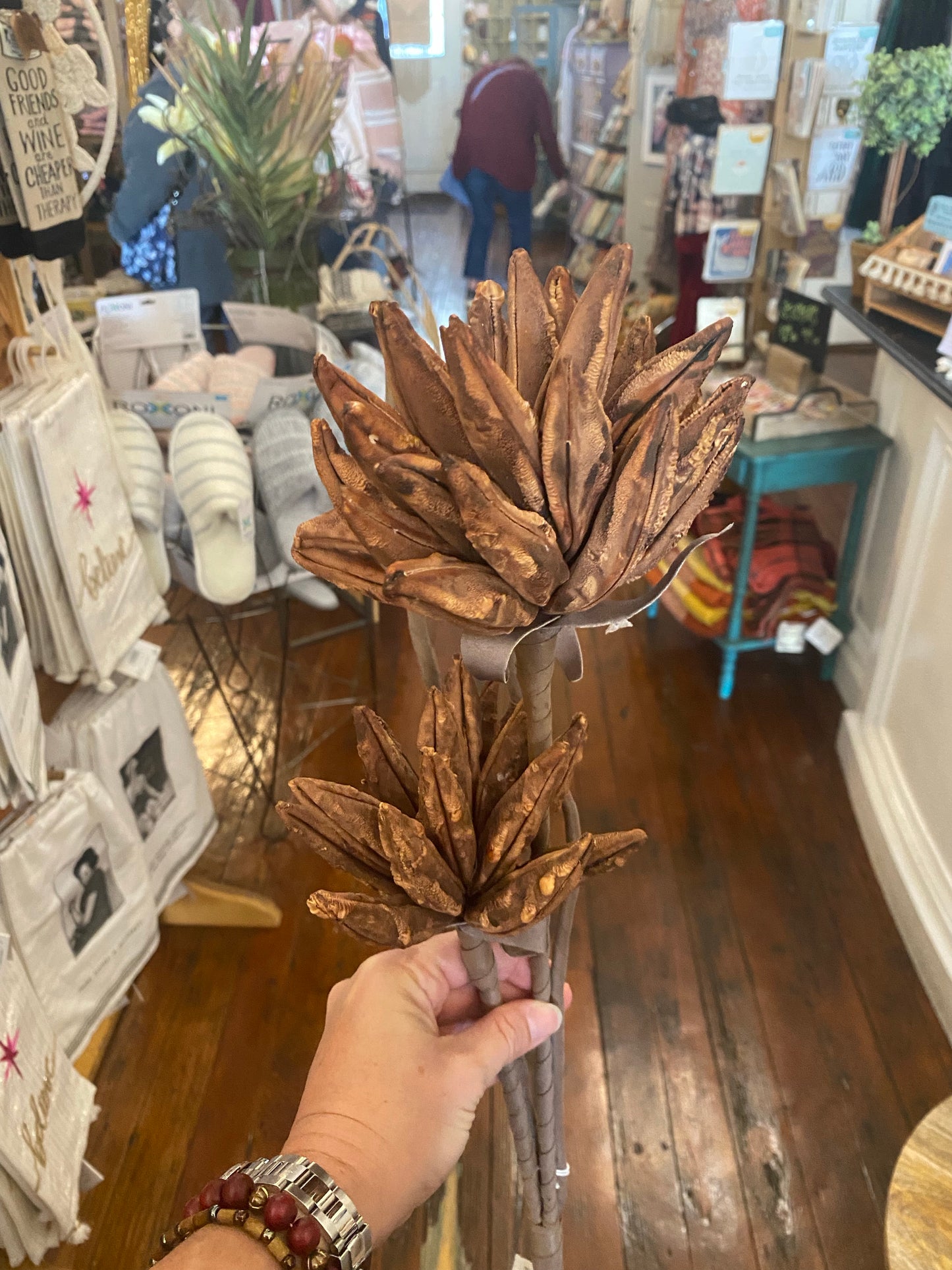 Double brown botanical