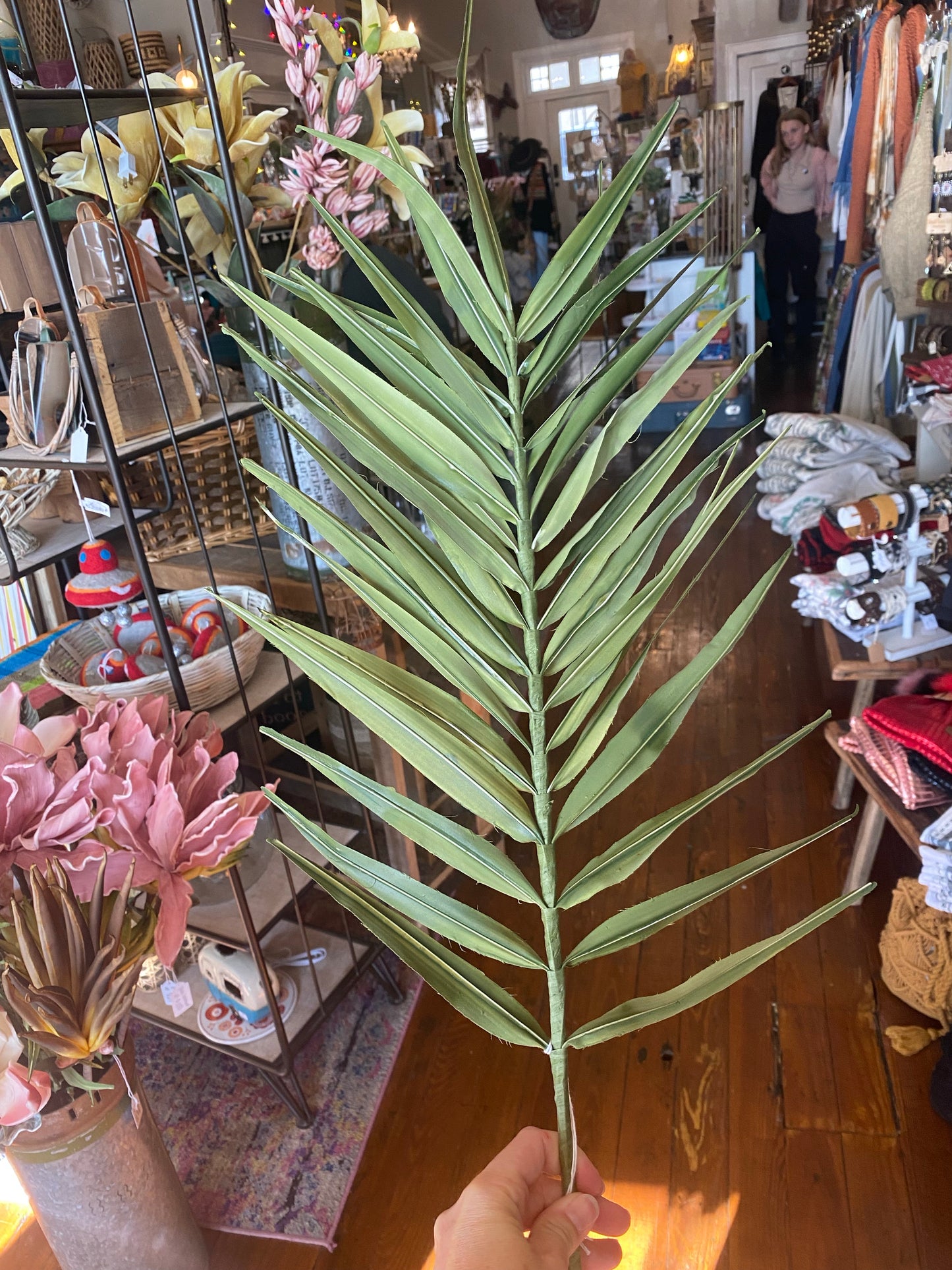 Green spike botanical