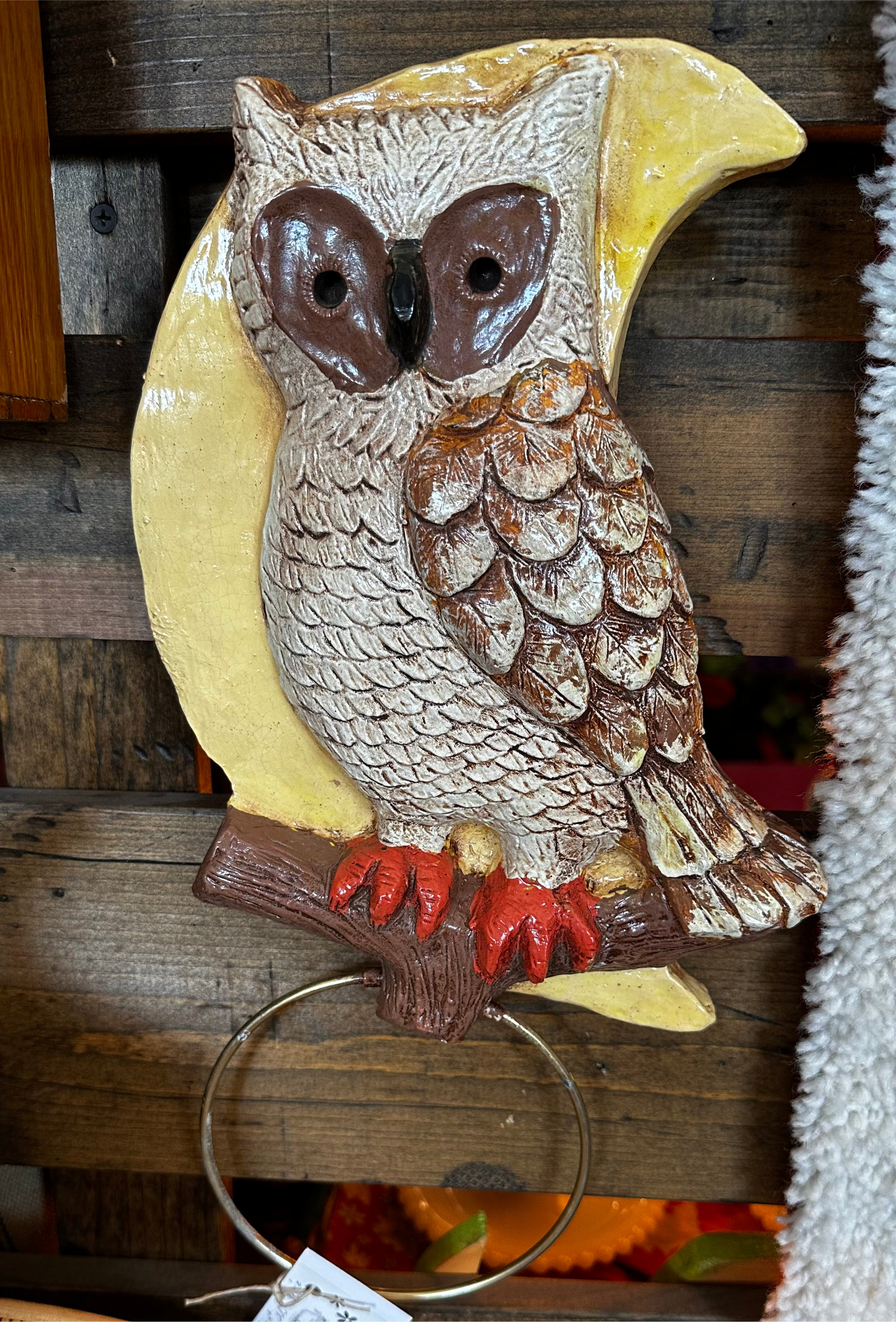 Moon/owl towel holder