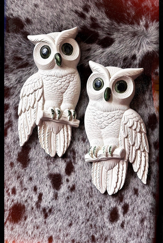 Pair of owls