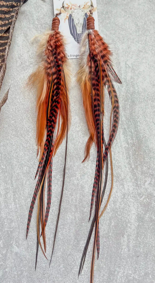 Longhorn feathers ears