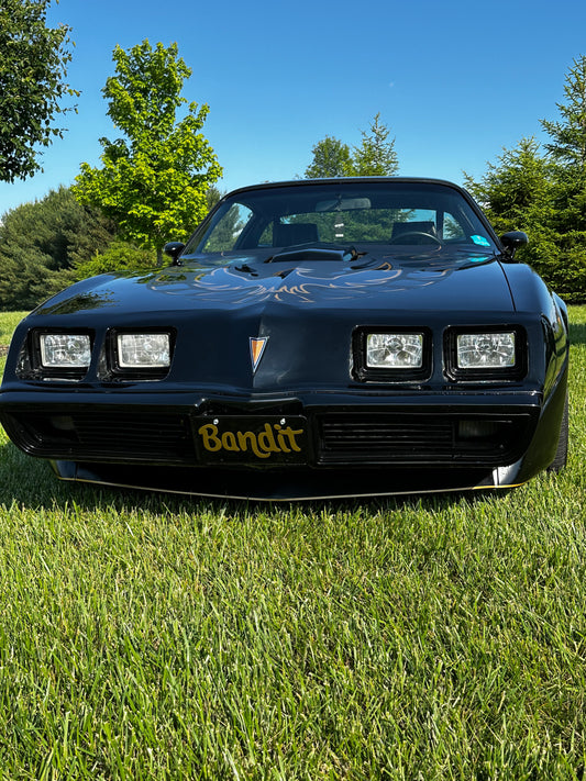 Bandit License Plate