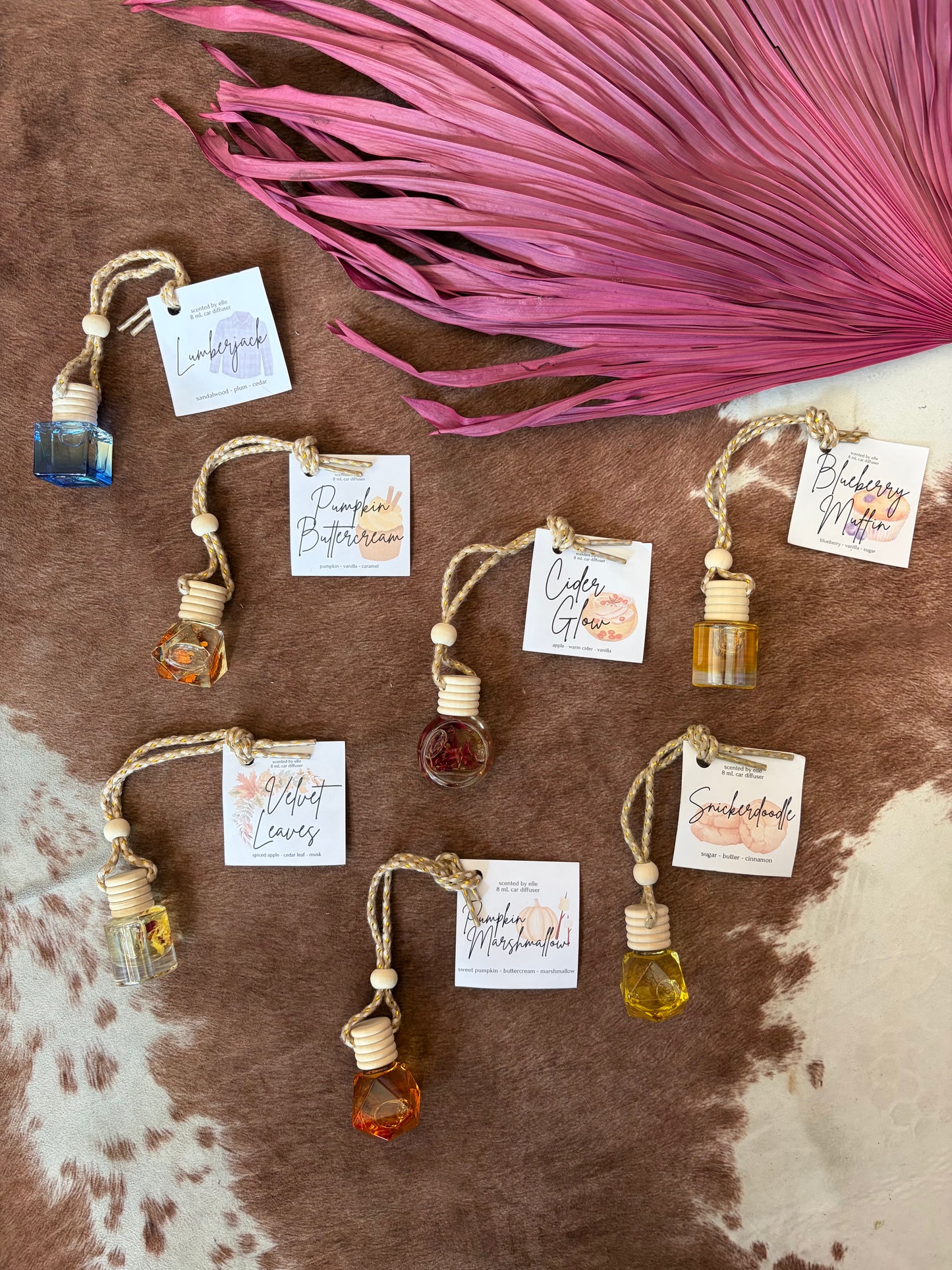 Fall Car Diffusers