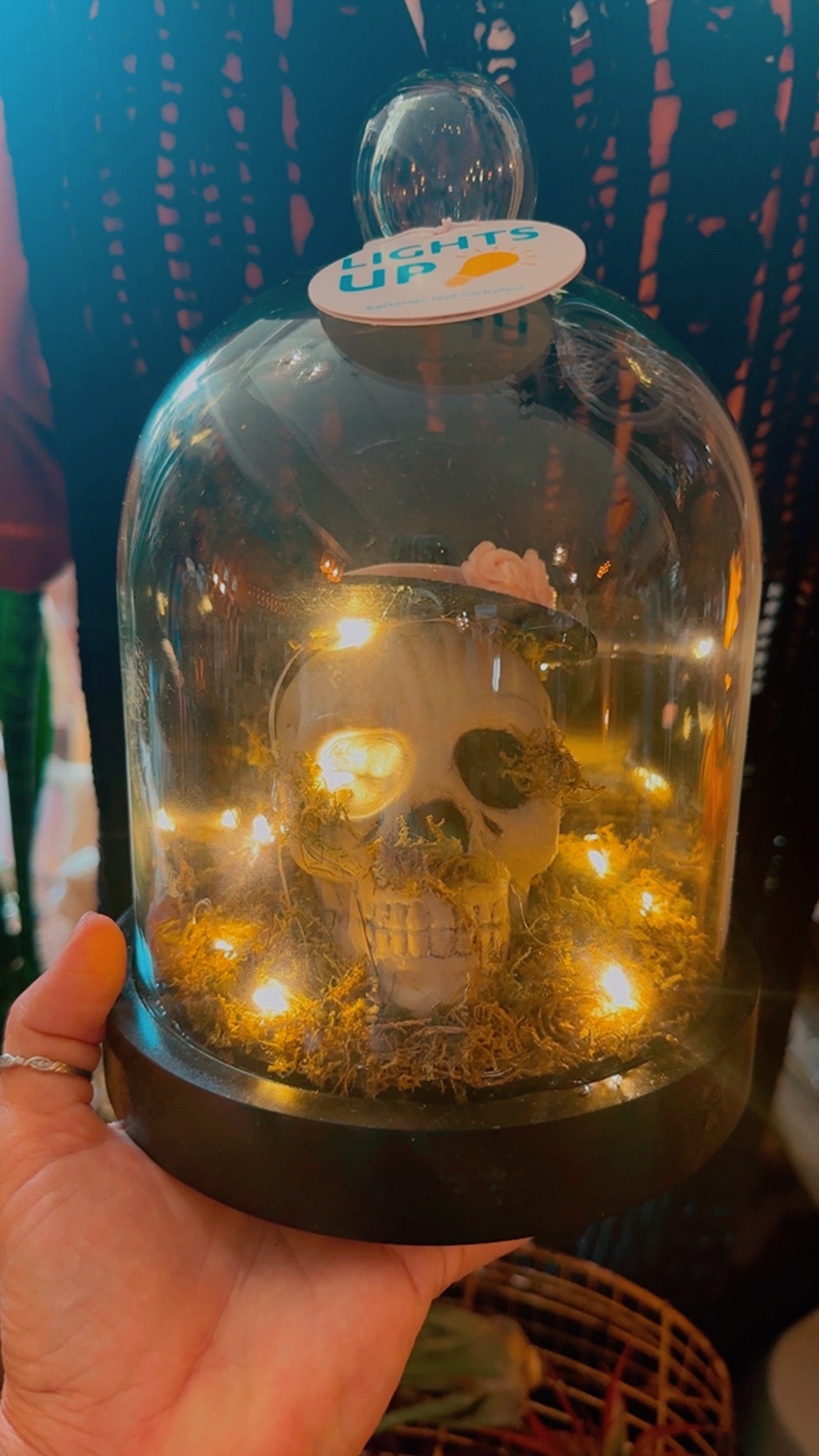 Skull light globe