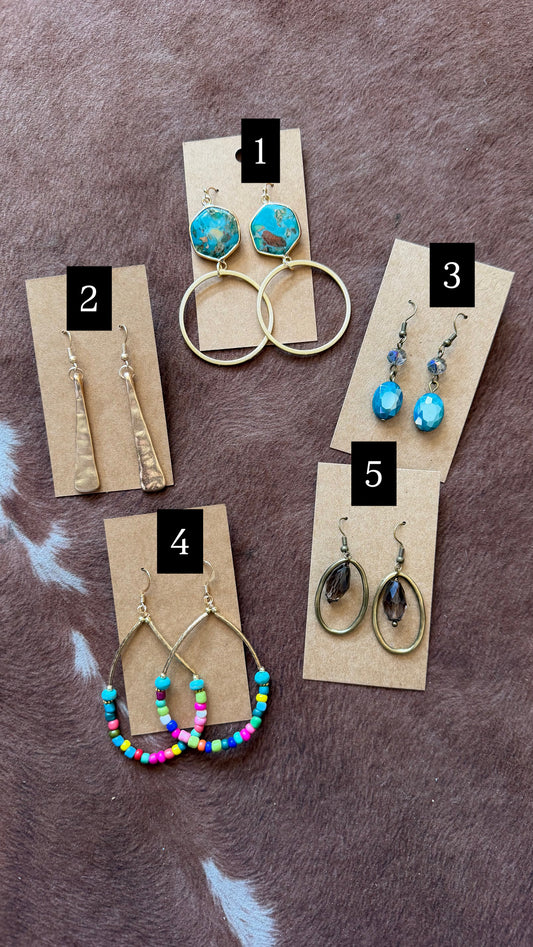 Eclectic Collection Earrings