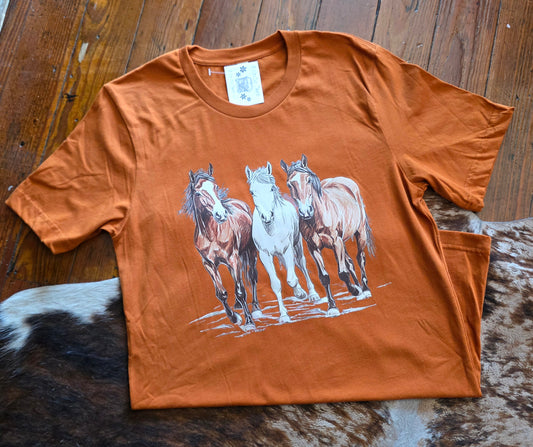 Wild Stallions