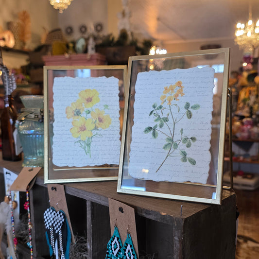 Framed Botanicals