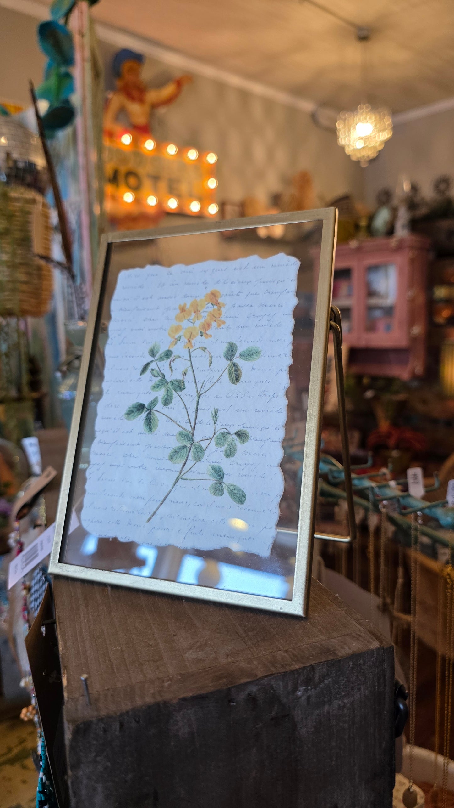 Framed Botanicals
