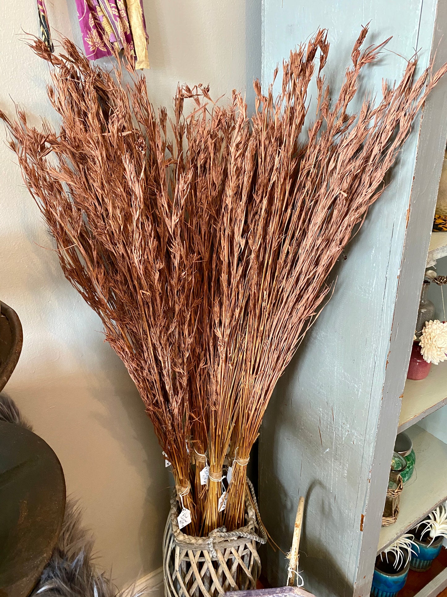 Dried Red Grass