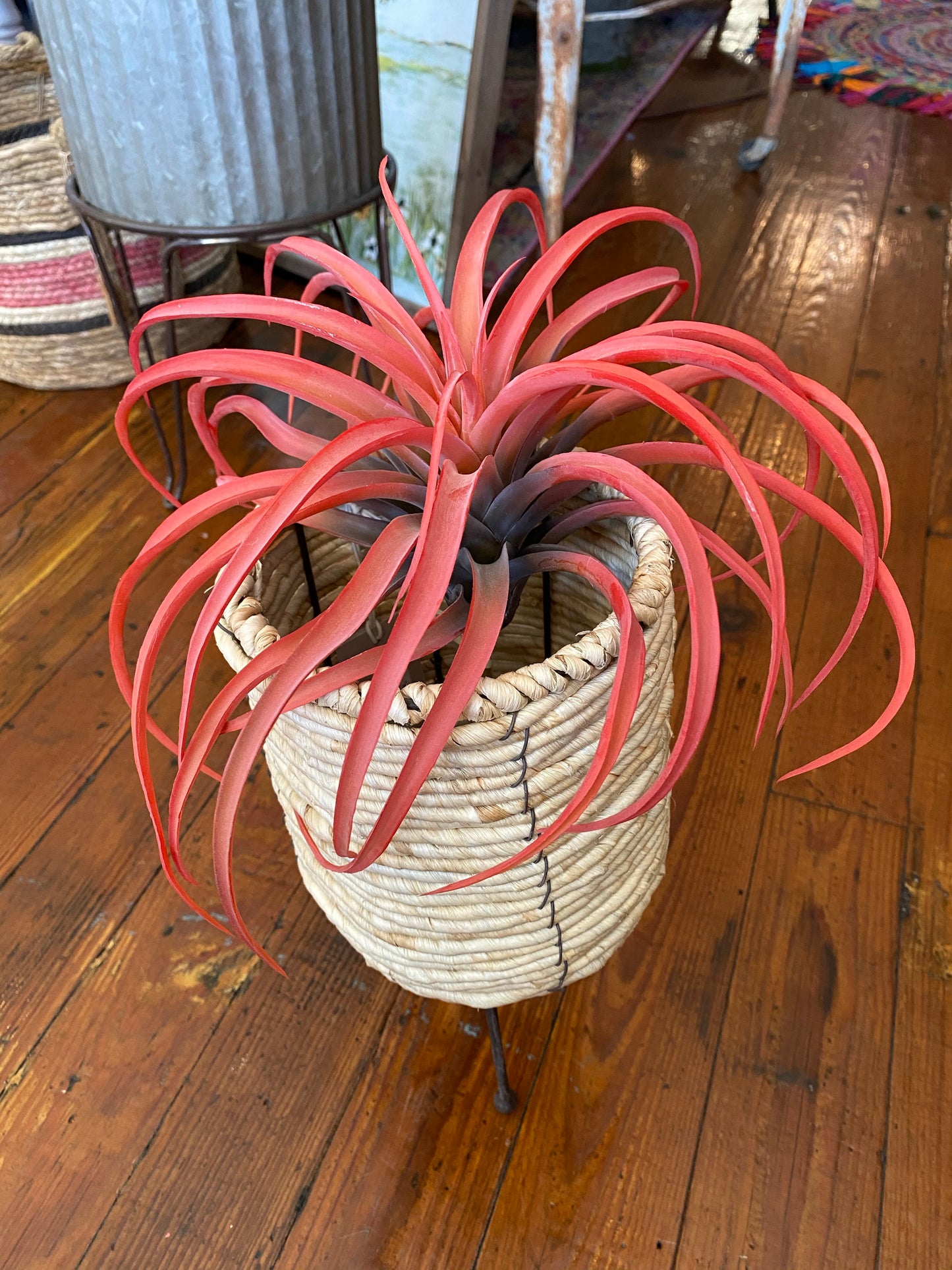 Red Airplant
