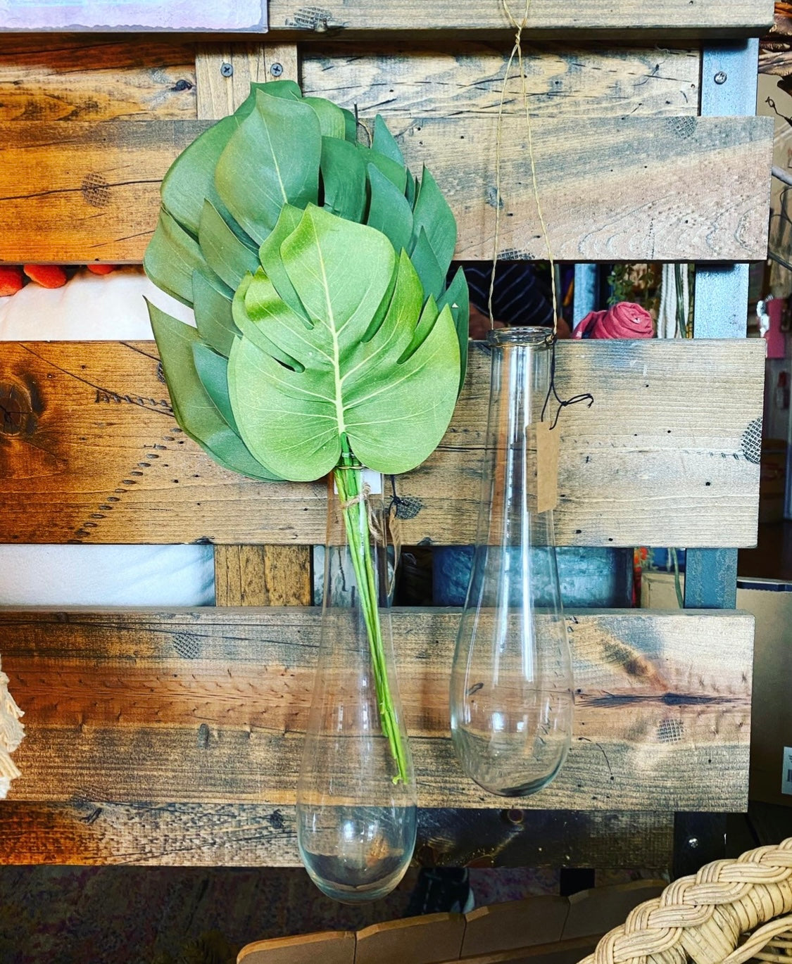 Hanging Glass Vase