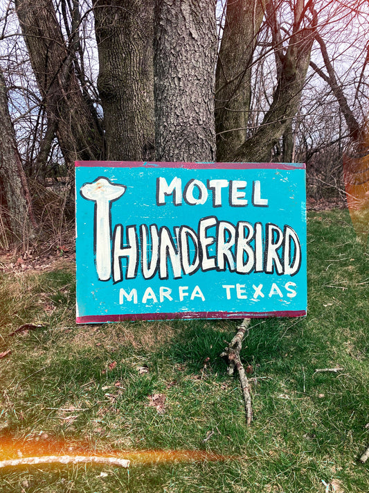 Motel Thunderbird (teal)